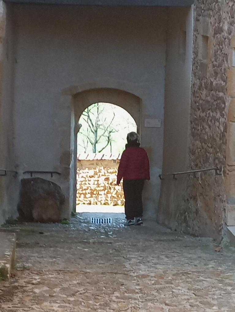 Gite De Belle Vue Semur-en-Brionnais Buitenkant foto
