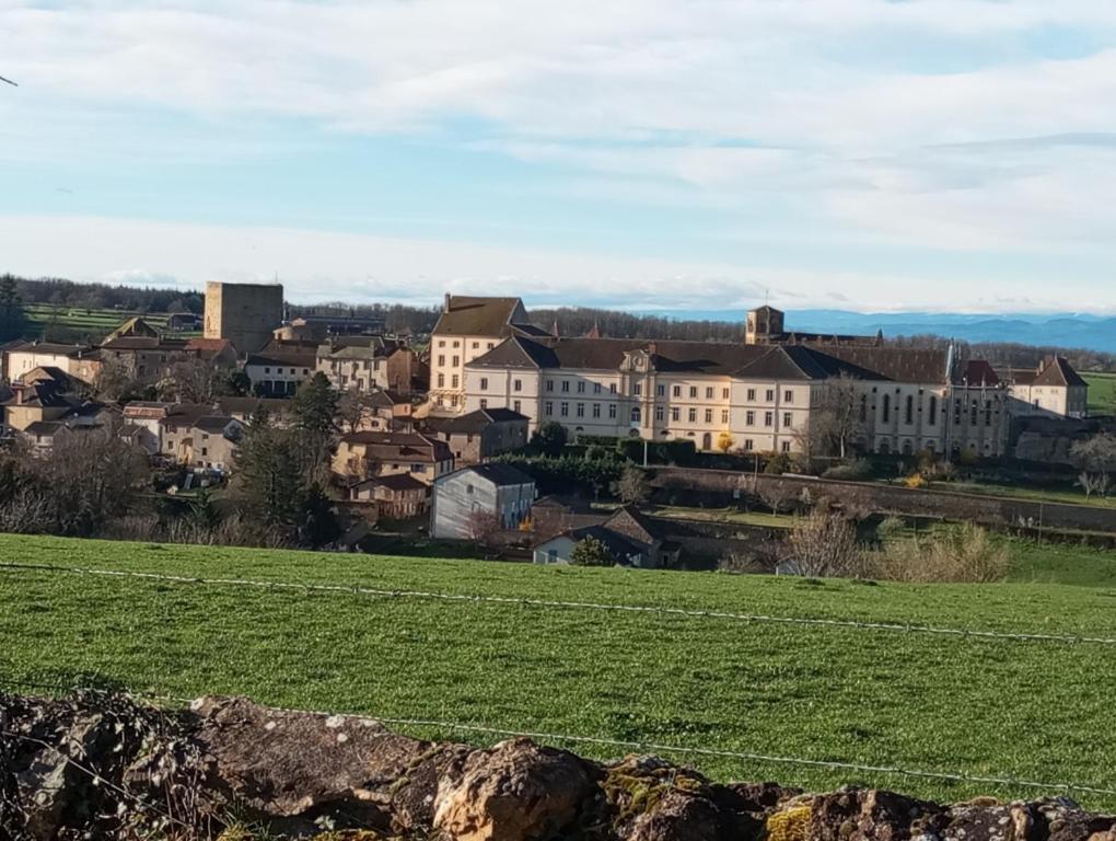 Gite De Belle Vue Semur-en-Brionnais Buitenkant foto